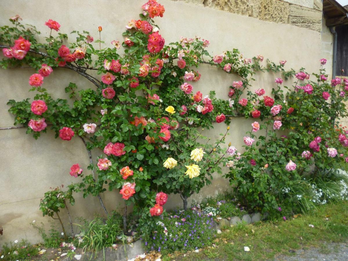 Le Clos des Rosiers Saint-Émilion Exterior foto